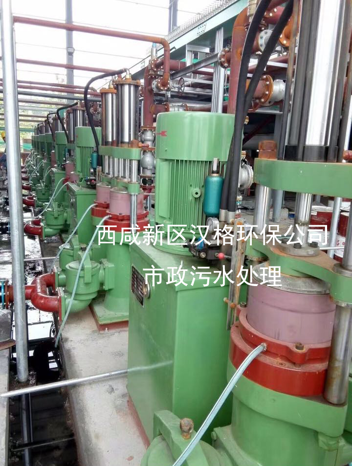 漢格環(huán)保壓濾機專用泵市政污水處理客戶案例